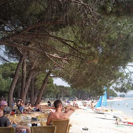 Mare *