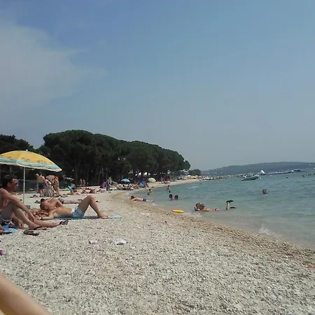 Mare *